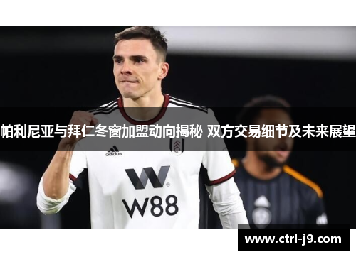 帕利尼亚与拜仁冬窗加盟动向揭秘 双方交易细节及未来展望