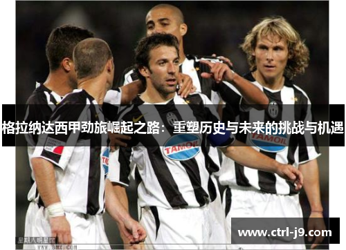 格拉纳达西甲劲旅崛起之路:重塑历史与未来的挑战与机遇 格拉纳达西甲劲旅崛起之路:重塑历史与未来的挑战与机遇