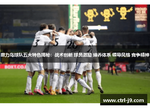 魔力鸟球队五大特色揭秘:战术创新 球员激励 培养体系 领导风格 竞争精神 魔力鸟球队五大特色揭秘:战术创新 球员激励 培养体系 领导风格 竞争精神